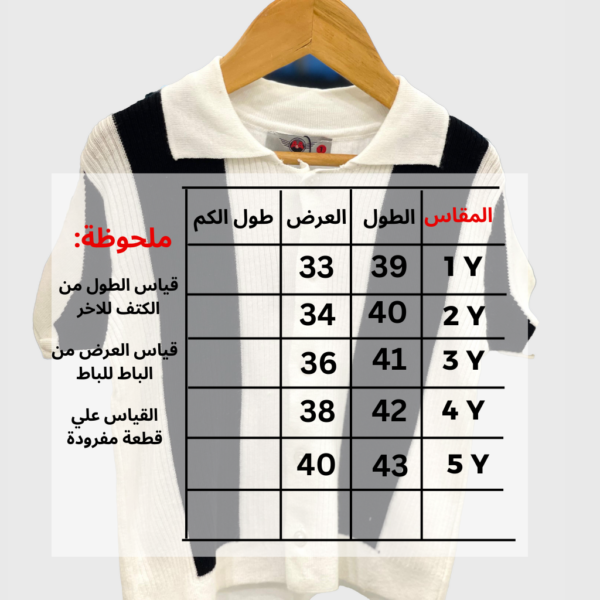 ⁦بولو-K383⁩ - الصورة ⁦2⁩