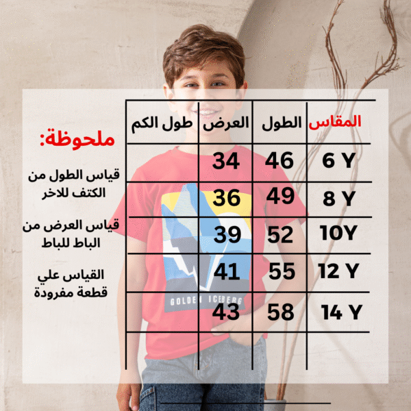⁦تيشرت-A167⁩ - الصورة ⁦2⁩