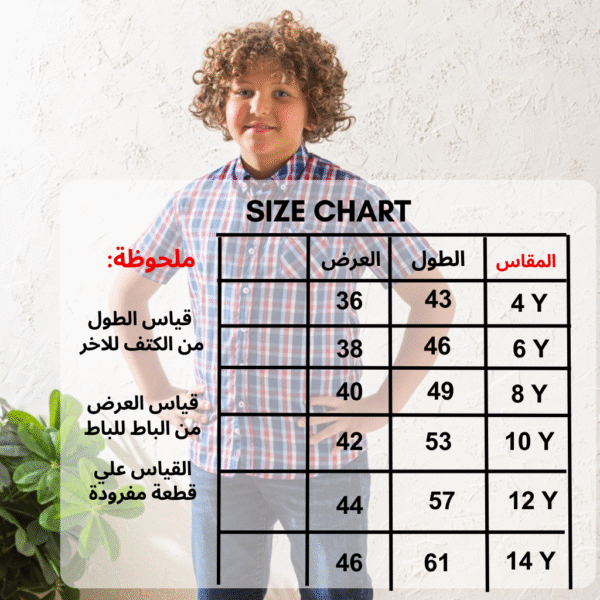 ⁦شميز - D495⁩ - الصورة ⁦2⁩