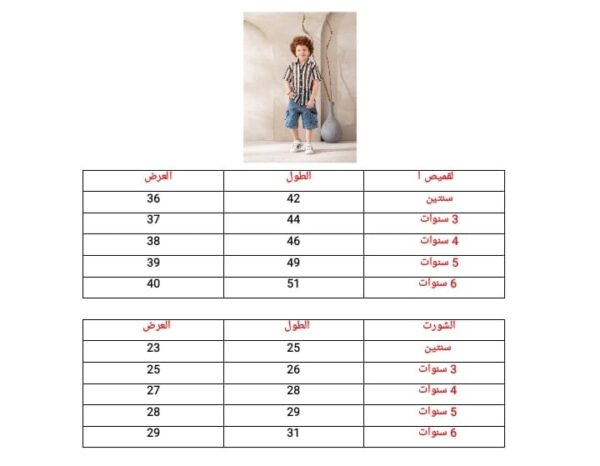 ⁦شيميز V106⁩ - الصورة ⁦3⁩