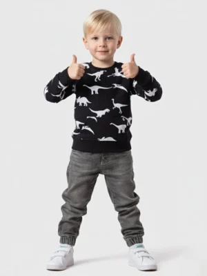سويت شيرت أسود بطبعة ديناصورات أولادي – ملابس أطفال شتوي