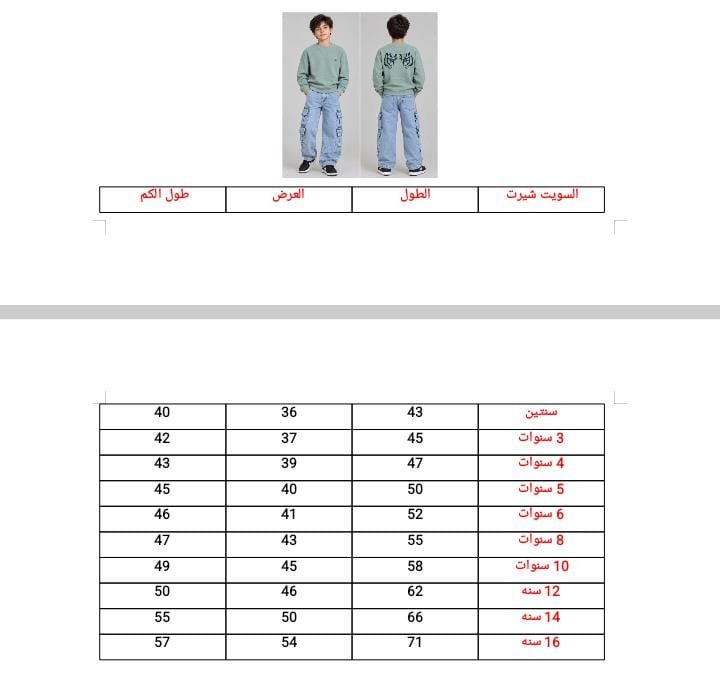 Sweat shirt | سويت شيرت أولادى - الصورة 2
