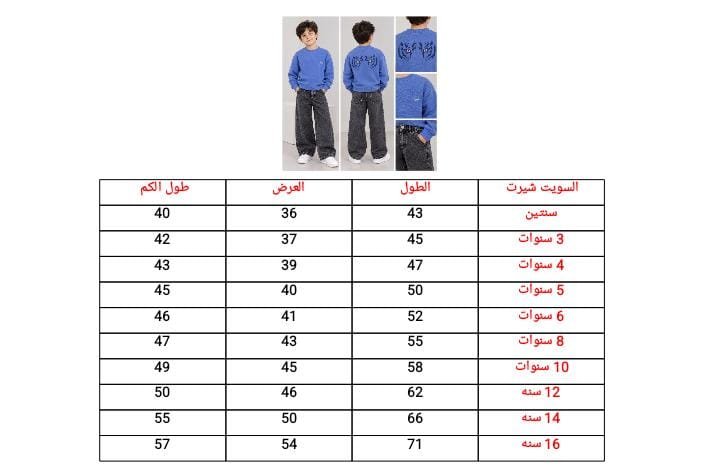 Sweat shirt | سويت شيرت أولادى - الصورة 2